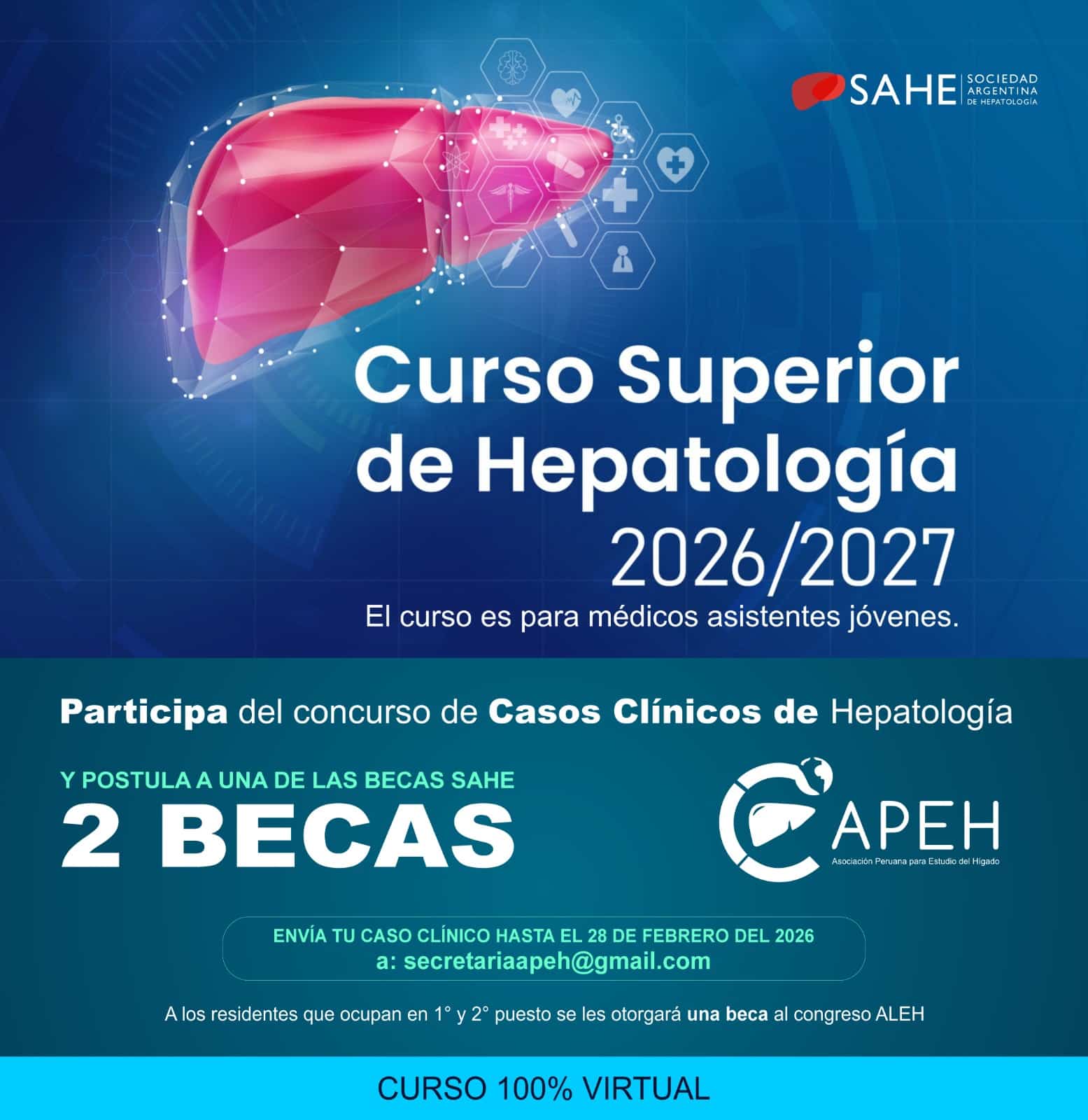 APEH - Curso Superior de Hepatología 2026/2027